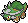 Torterra