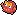Darumaka